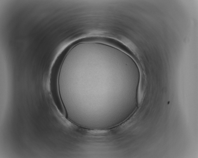 X0000112031296200908171443