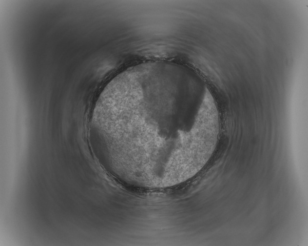 X0000112031297200908171443