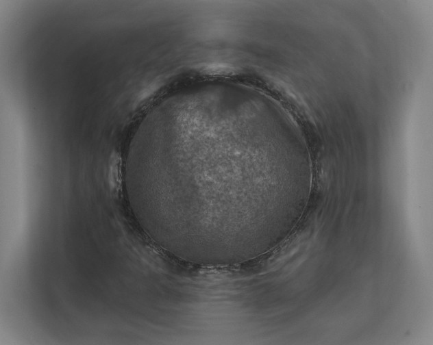 X0000112031301200908171443