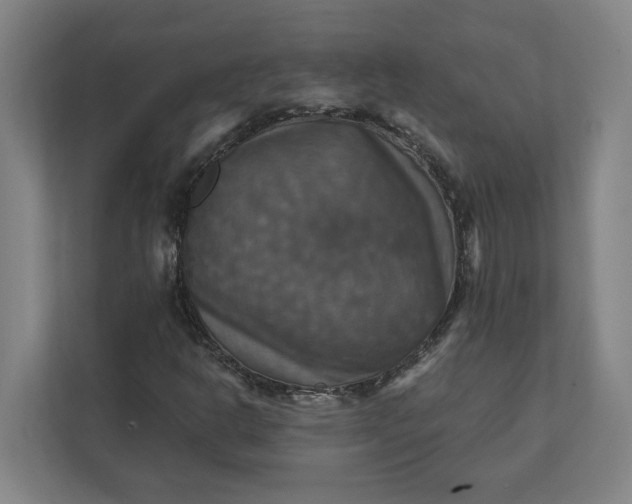 X0000112031302200908171443