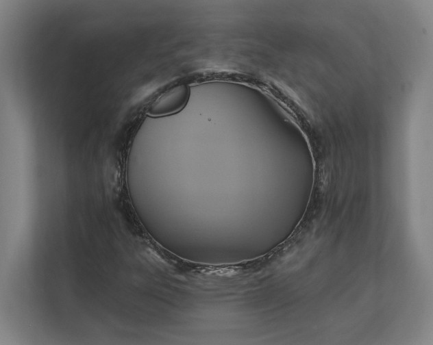 X0000112031303200908171443