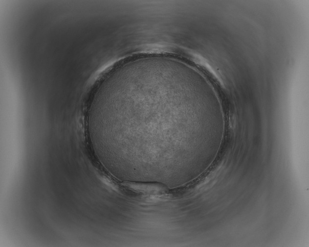 X0000112031304200908171443