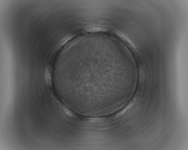 X0000112031305200908171443
