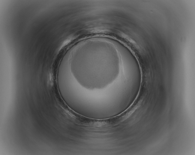 X0000112031306200908171443