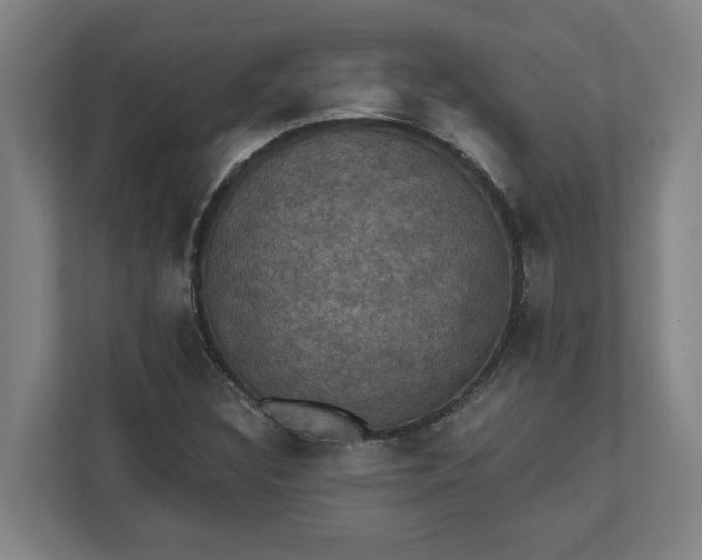 X0000112031308200908171443