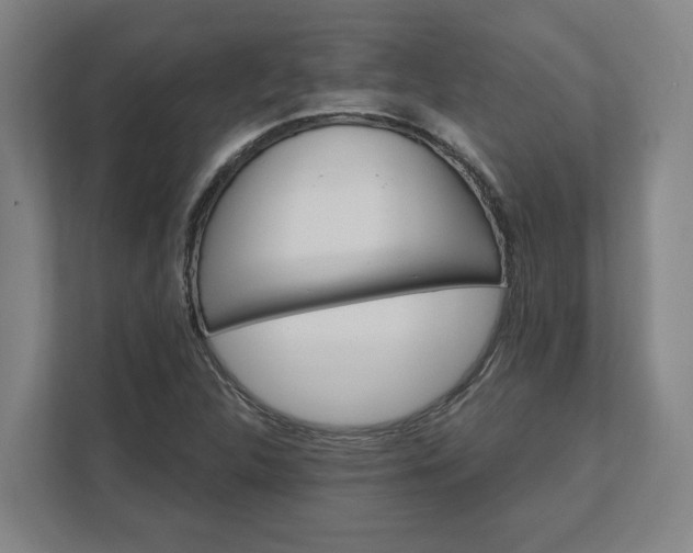 X0000112031312200908171443