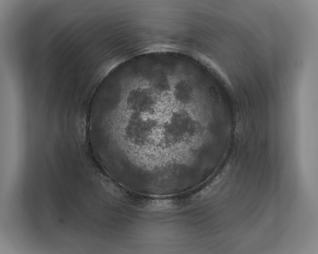 X0000112031313200908171443