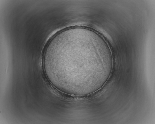 X0000112031316200908171443