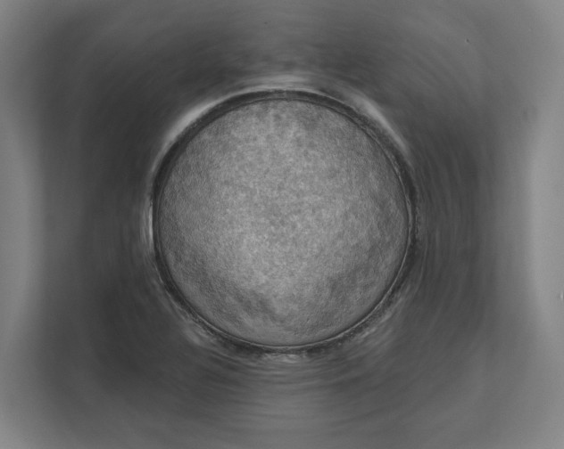 X0000112031320200908171443