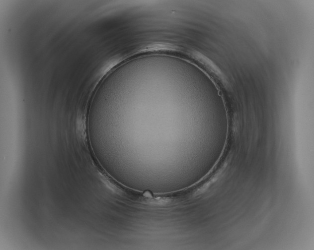 X0000112031321200908171443