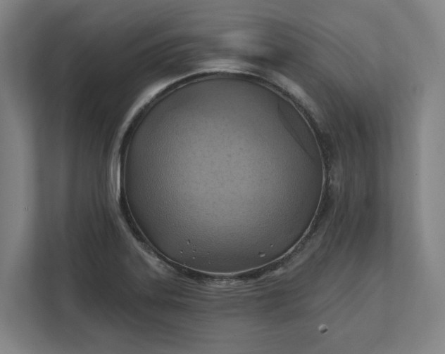 X0000112031323200908171443
