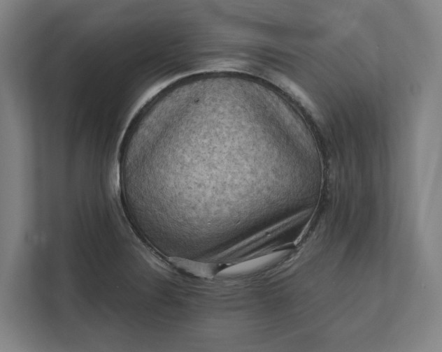 X0000112031324200908171443