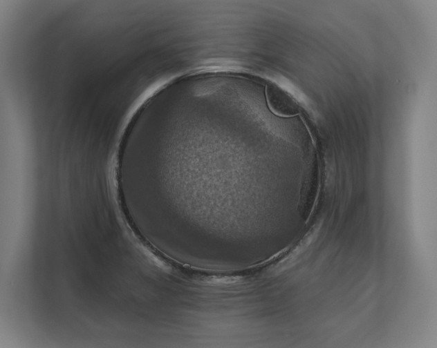 X0000112031325200908171443
