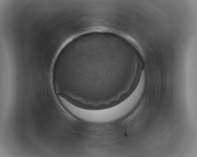 X0000112031326200908171443