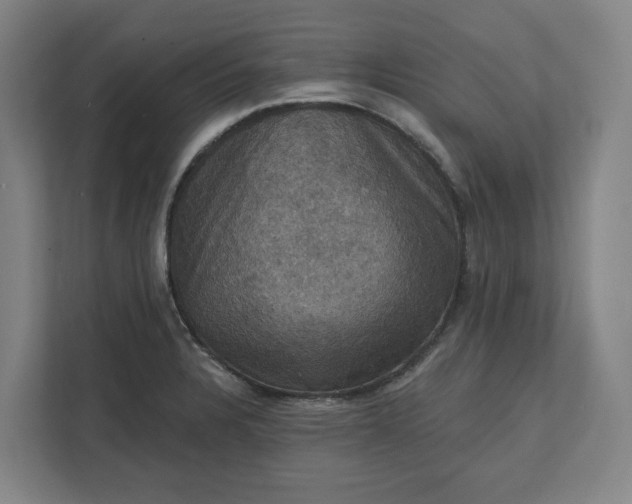 X0000112031328200908171443