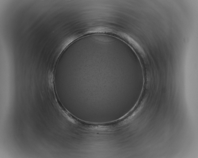 X0000112031329200908171443