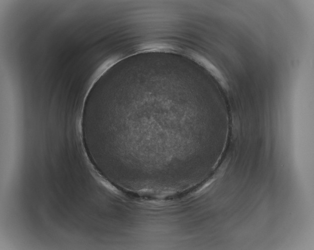 X0000112031330200908171443
