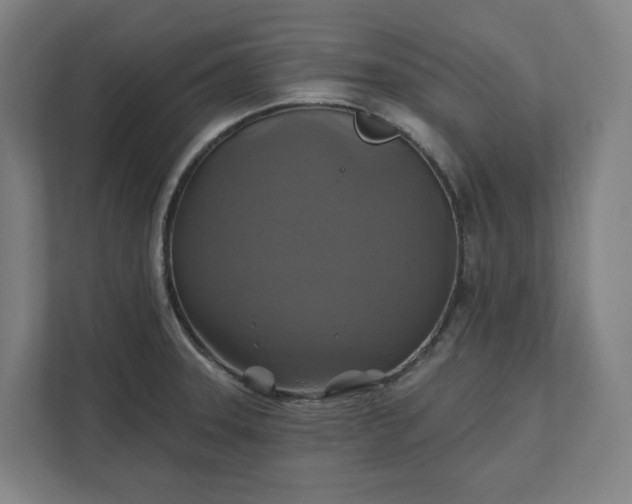 X0000112031331200908171443