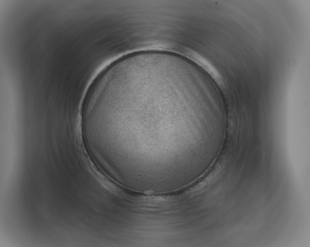 X0000112031332200908171443