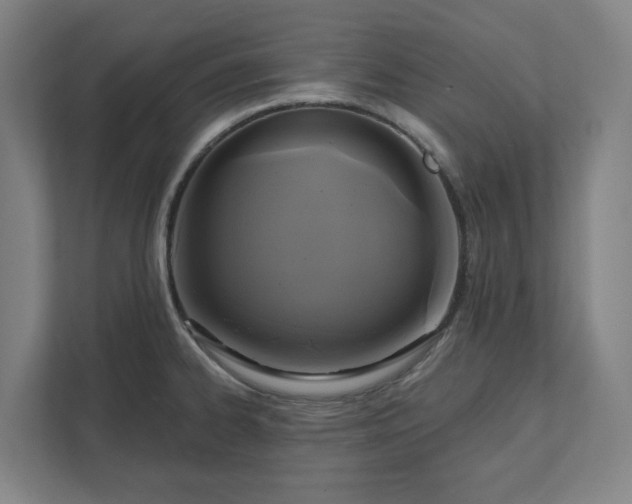 X0000112031334200908171443