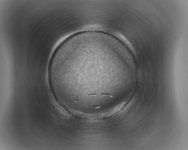 X0000112031336200908171443