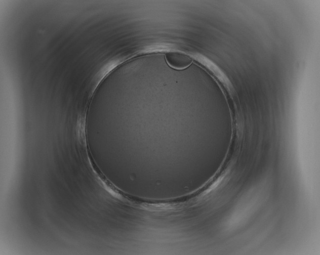X0000112031337200908171443