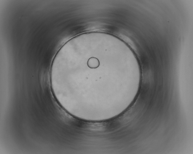 X0000112031338200908171443