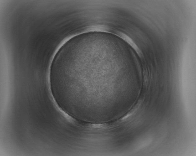 X0000112031339200908171443