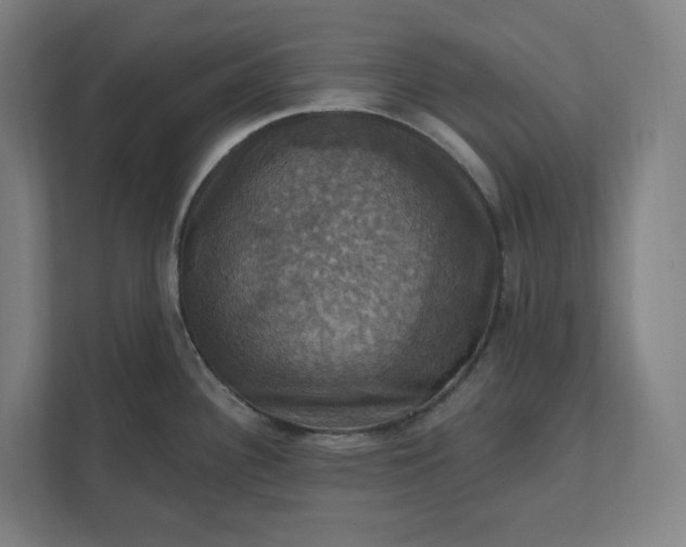 X0000112031340200908171443