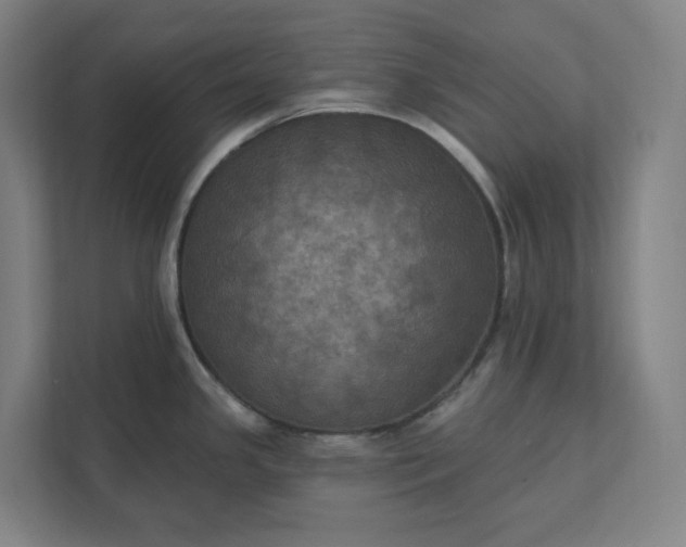 X0000112031341200908171443