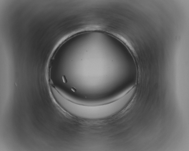 X0000112031342200908171443