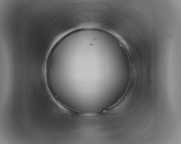 X0000112031343200908171443