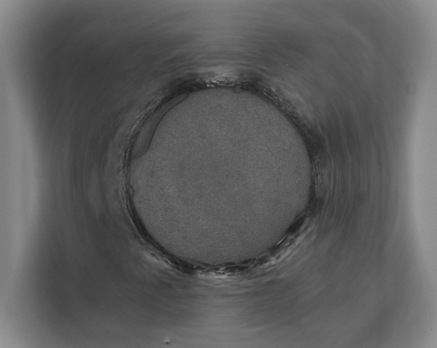 X0000112031345200908171443