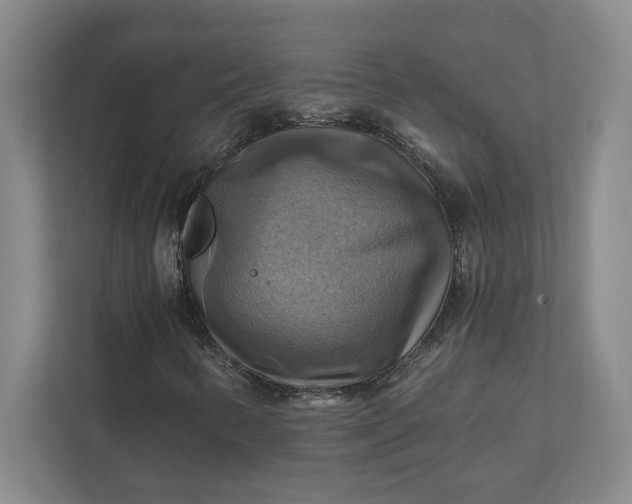 X0000112031346200908171443