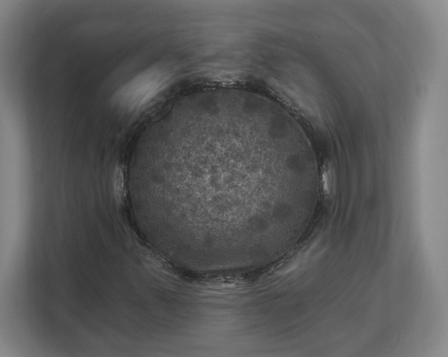 X0000112031347200908171442