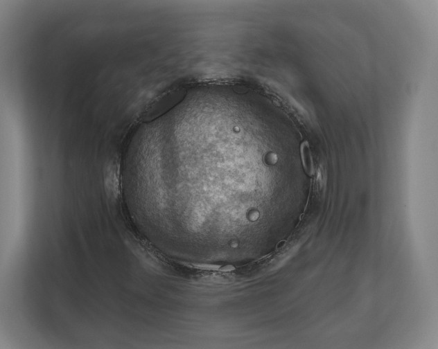 X0000112031348200908171442