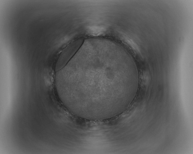 X0000112031349200908171442