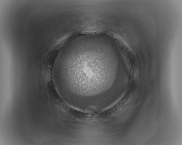 X0000112031350200908171442