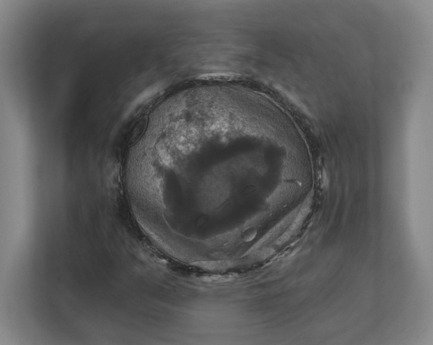 X0000112031351200908171442