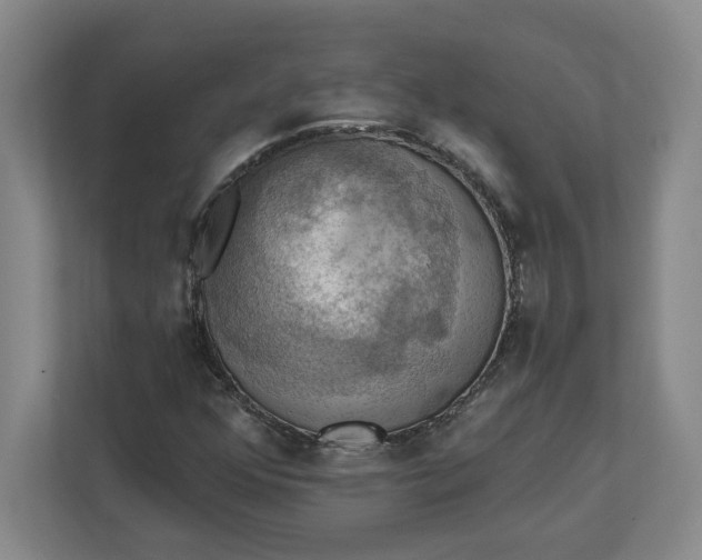 X0000112031352200908171442