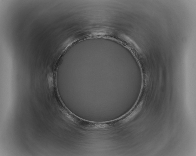 X0000112031353200908171442