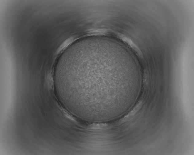 X0000112031354200908171442