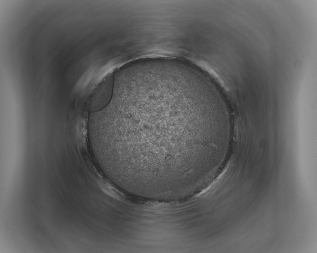 X0000112031355200908171442
