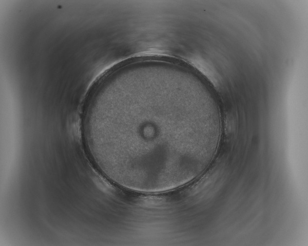 X0000112031356200908171442