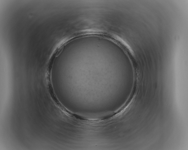 X0000112031357200908171442