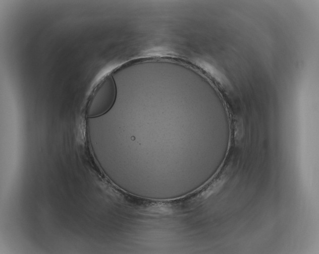 X0000112031358200908171442