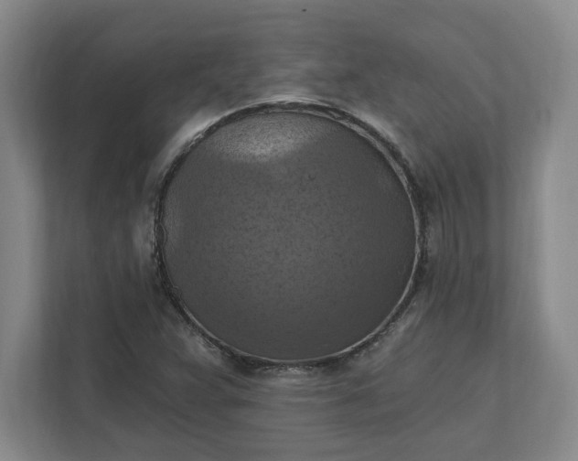 X0000112031359200908171442