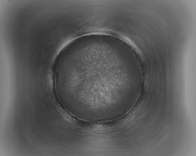 X0000112031360200908171442
