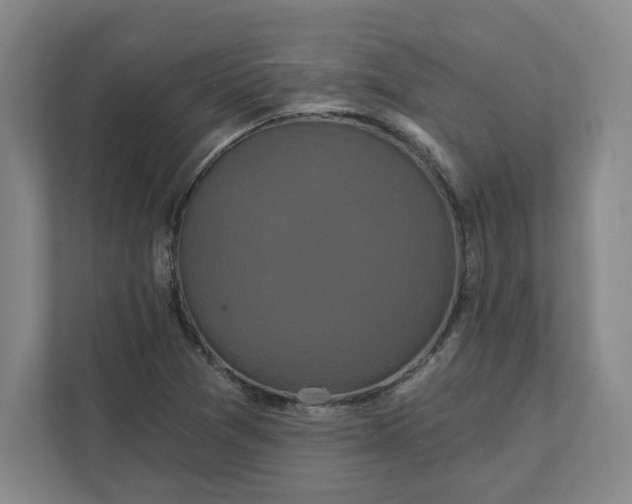 X0000112031361200908171442