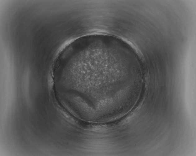 X0000112031363200908171442